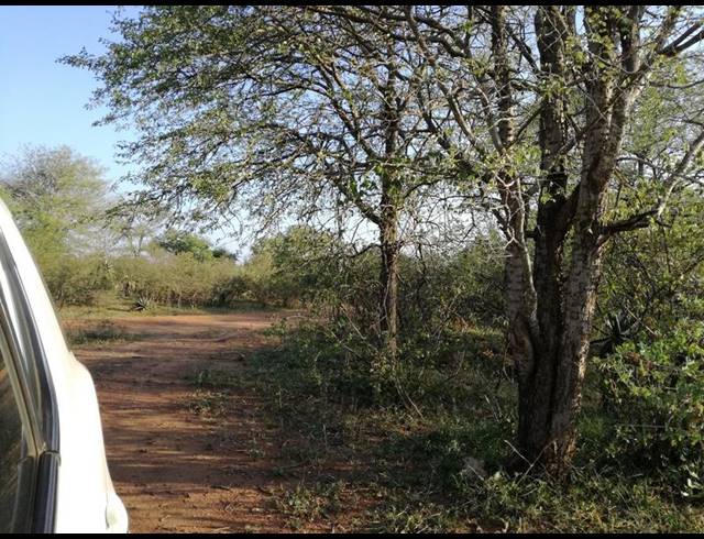 BUSINESS FOR SALE IN MANZINI